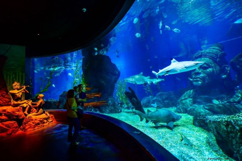 Discover the 50 Best Aquariums Worldwide: Top Must-Visit Marine Wonders