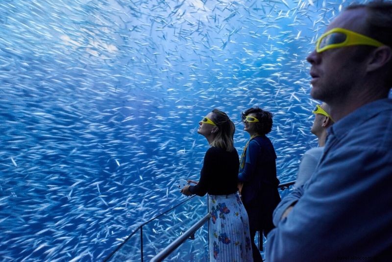 Discover the 50 Best Aquariums Worldwide: Top Must-Visit Marine Wonders