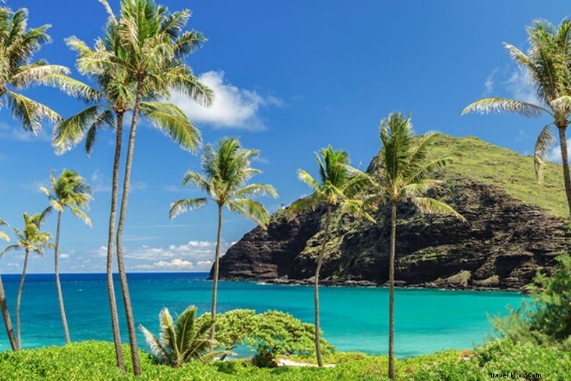 19 Best Pearl Harbor Tours: Ultimate Guide to WWII History in Hawaii