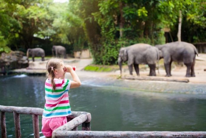 Top 50 Best Zoos in the World: Ultimate Guide to Wildlife Wonders
