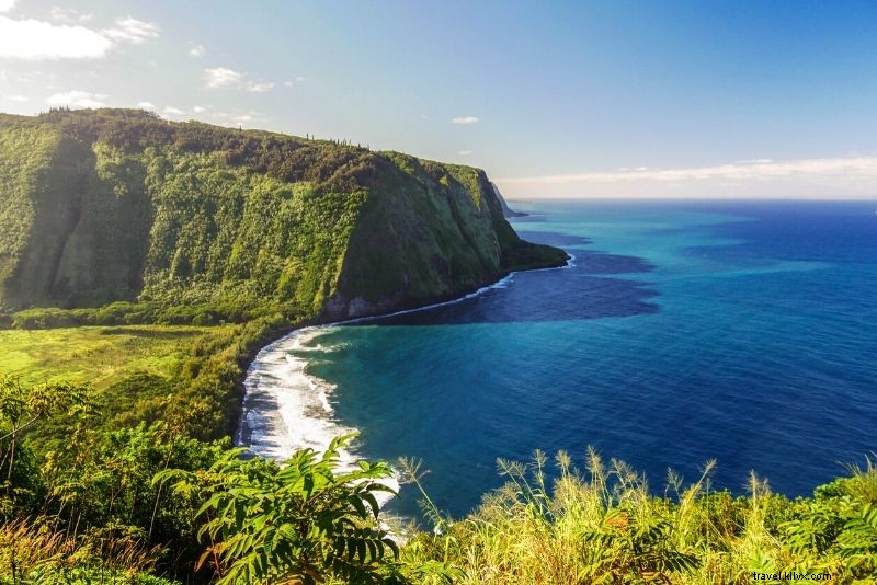 19 Best Pearl Harbor Tours: Ultimate Guide to WWII History in Hawaii