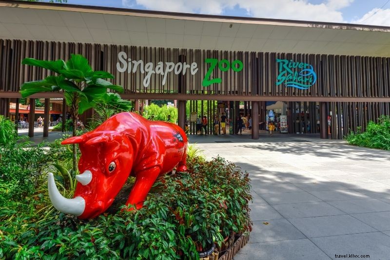 Top 50 Best Zoos in the World: Ultimate Guide to Wildlife Wonders