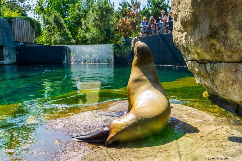 Top 50 Best Zoos in the World: Ultimate Guide to Wildlife Wonders