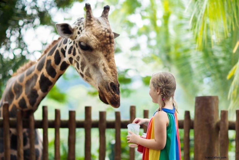 Top 50 Best Zoos in the World: Ultimate Guide to Wildlife Wonders