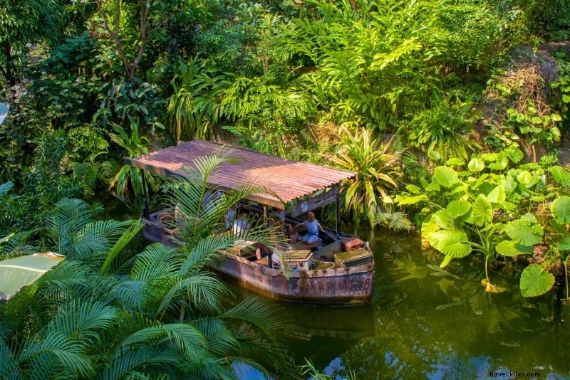 Top 50 Best Zoos in the World: Ultimate Guide to Wildlife Wonders