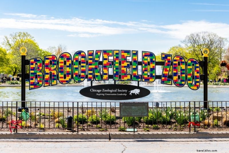 Top 50 Best Zoos in the World: Ultimate Guide to Wildlife Wonders