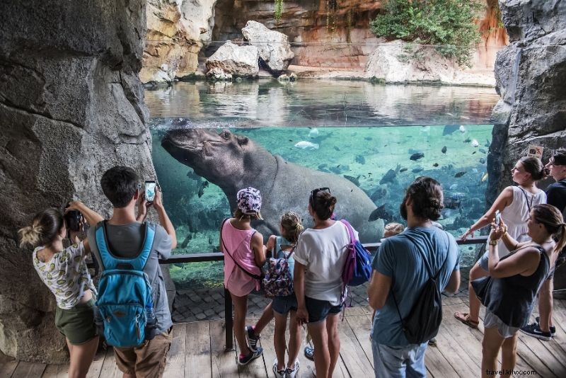 Top 50 Best Zoos in the World: Ultimate Guide to Wildlife Wonders