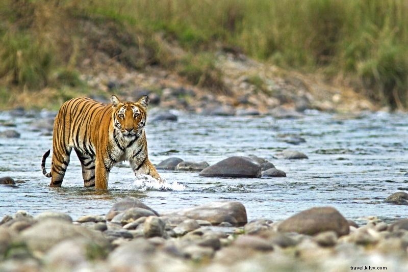 Top 100 National Parks in the World: Ultimate Guide to Nature s Greatest Wonders