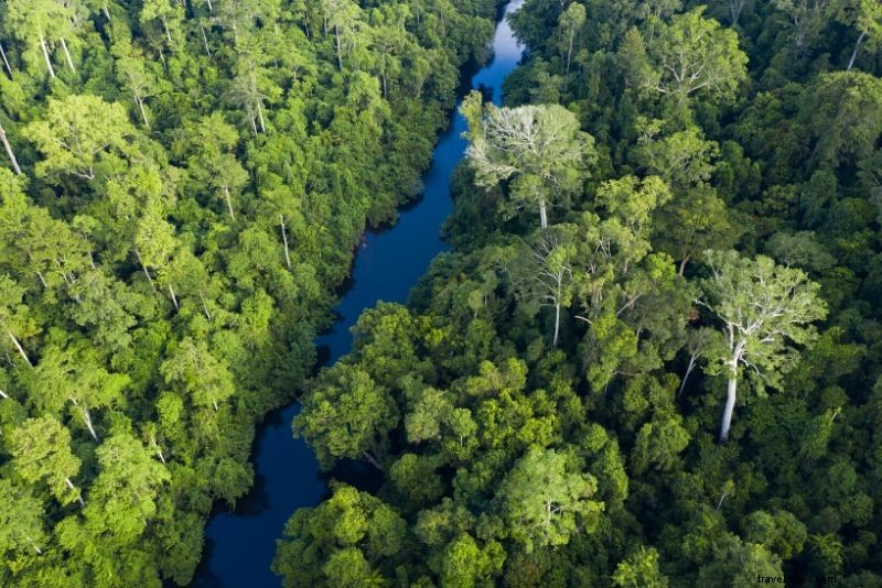 Top 100 National Parks in the World: Ultimate Guide to Nature s Greatest Wonders