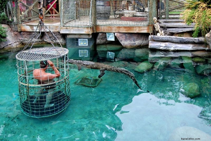 Top 50 Adrenaline-Pumping Activities for Ultimate Thrill Seekers Worldwide