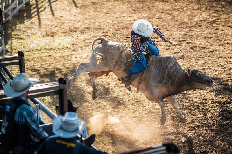 Top 50 Adrenaline-Pumping Activities for Ultimate Thrill Seekers Worldwide