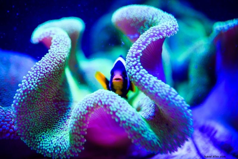 39 Exciting Virtual Travel Activities to Enjoy at Home During Lockdown