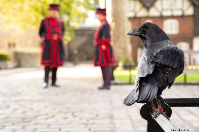 Tower of London Ticket Prices: Complete Booking Guide & Money-Saving Tips