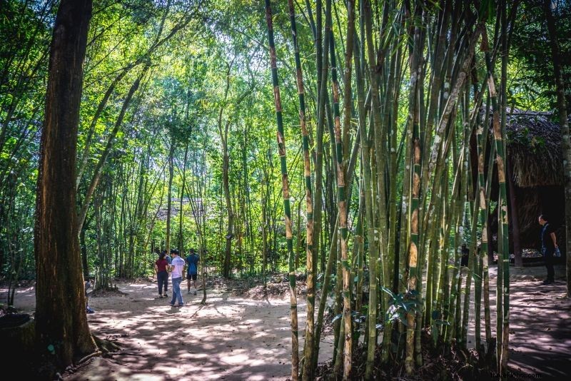 Cu Chi Tunnels Tours from Ho Chi Minh City: Complete Guide to Prices, Booking & Tips