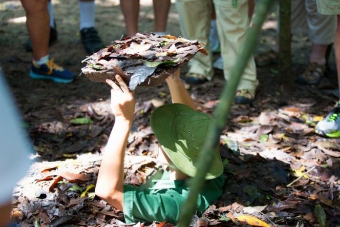 Cu Chi Tunnels Tours from Ho Chi Minh City: Complete Guide to Prices, Booking & Tips