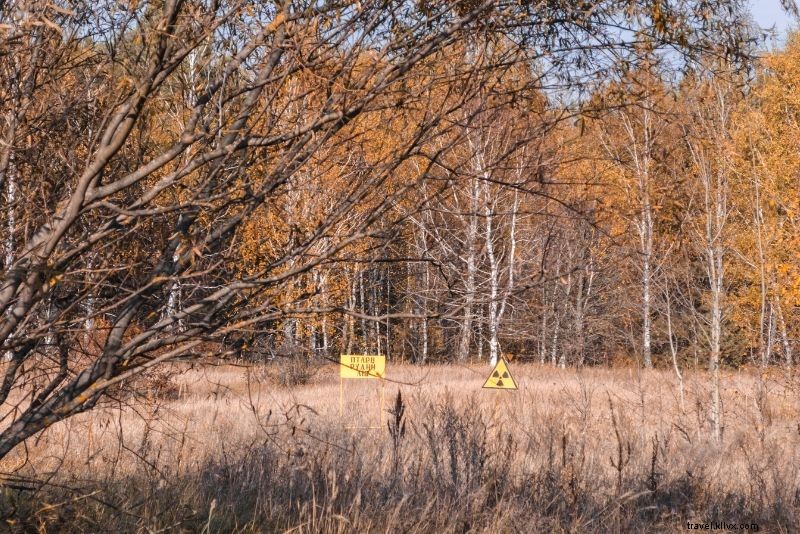 Safe Chernobyl Tours from Kyiv: Expert Guide to Safety and Booking