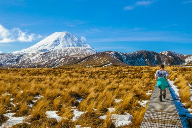 Best Lord of the Rings Tours in New Zealand: Ultimate Guide to Iconic Filming Locations
