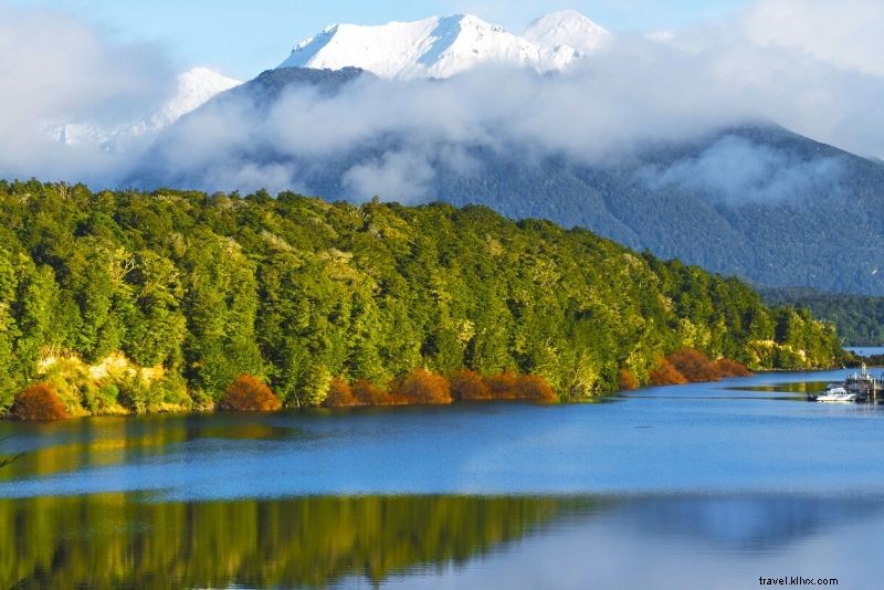 Best Lord of the Rings Tours in New Zealand: Ultimate Guide to Iconic Filming Locations