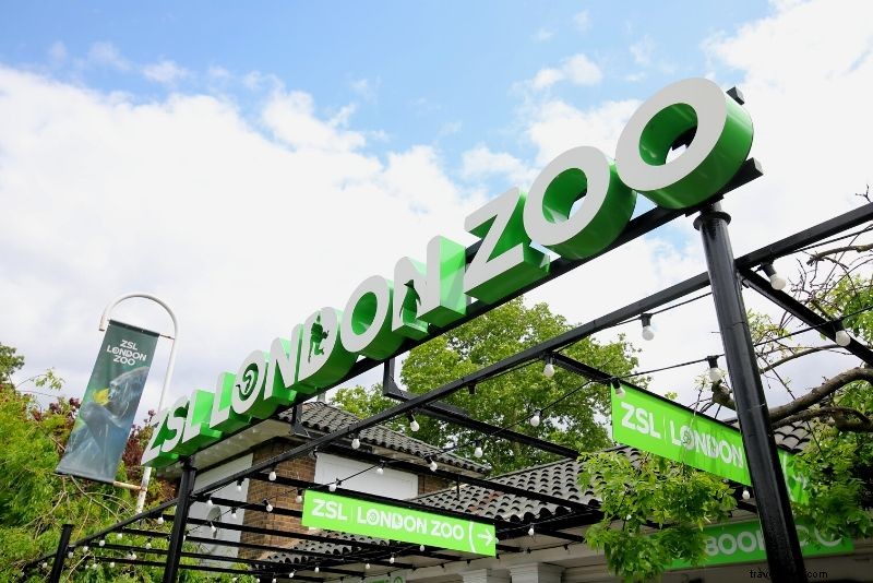 London Zoo Tickets: Save Up to 30% on Discounted Entry Prices