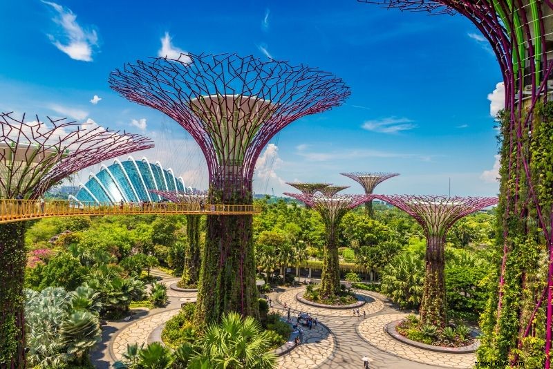 Gardens by the Bay Ticket Prices: Complete Booking Guide & Essential Tips