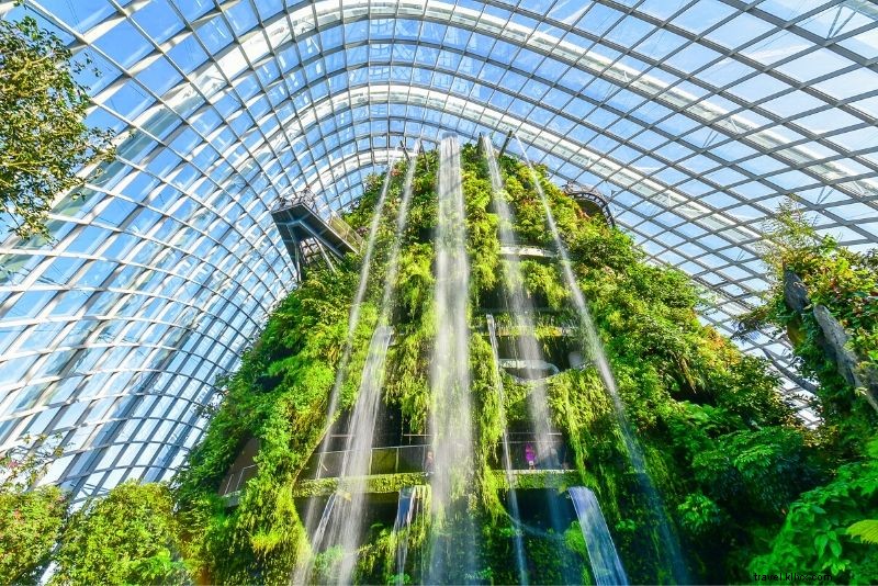 Gardens by the Bay Ticket Prices: Complete Booking Guide & Essential Tips