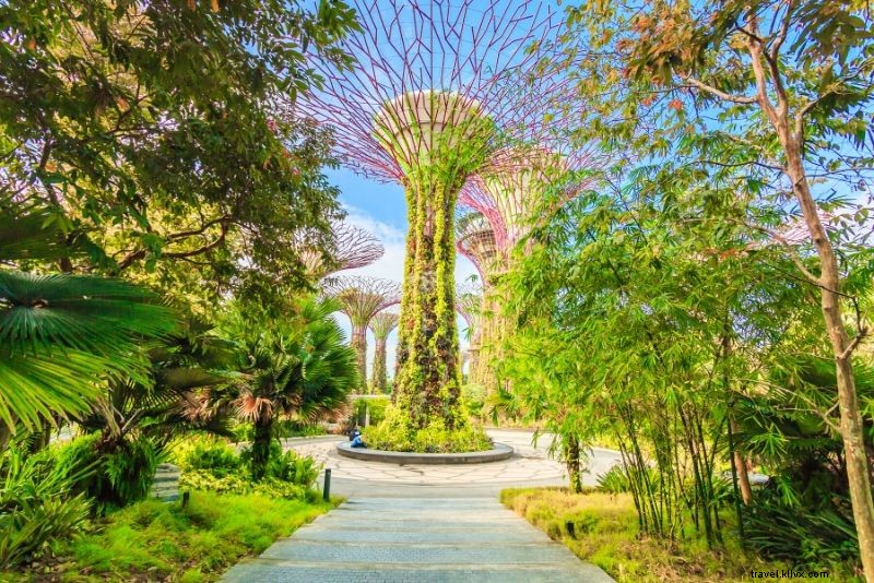 Gardens by the Bay Ticket Prices: Complete Booking Guide & Essential Tips