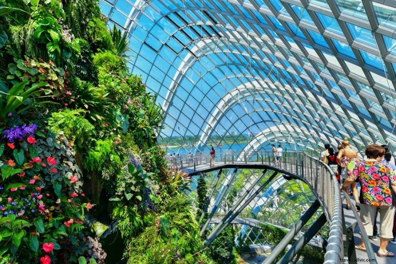 Gardens by the Bay Ticket Prices: Complete Booking Guide & Essential Tips