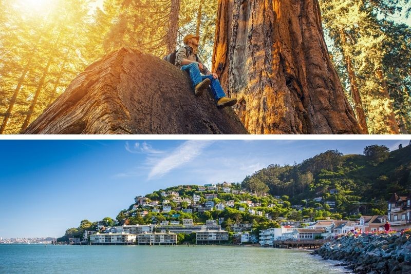 Top 23 San Francisco Tours: Expert Guide to Choosing the Perfect One