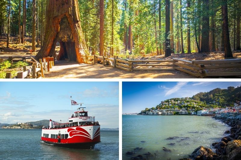 Top 18 Alcatraz Island Tours: Expert Guide to Choosing the Best One