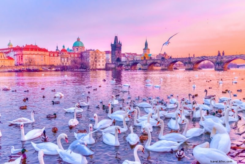 Best Prague River Cruises: Top Options, Prices & Booking Guide