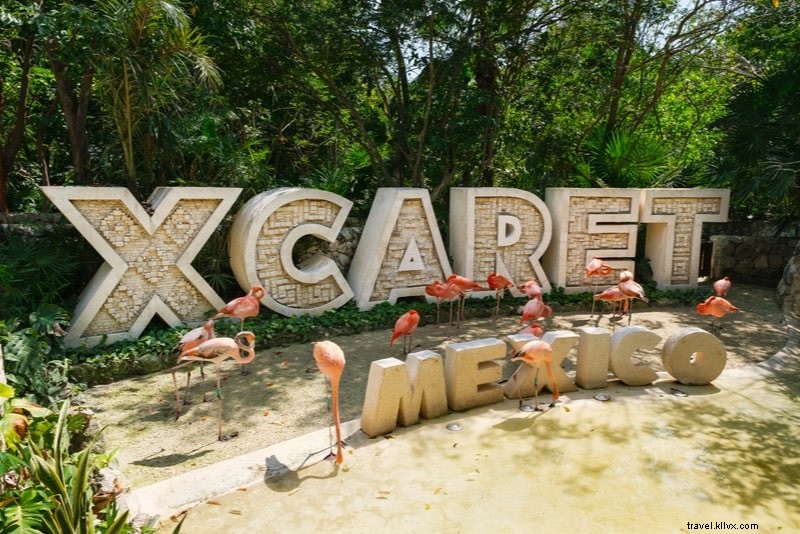 Discover the 25 Best Cancun Excursions & Day Trips for Unforgettable Adventures