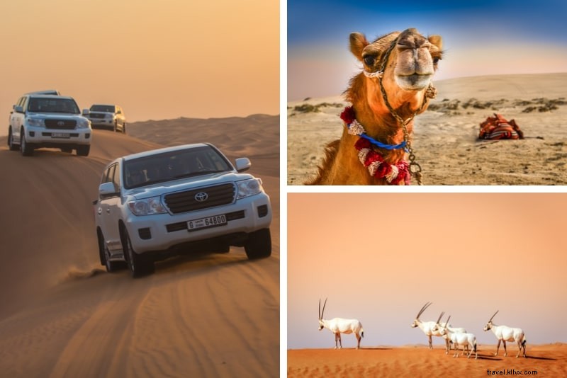Top 22 Dubai Desert Safari Tours: Ultimate Thrilling Adventures