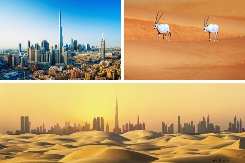 Top 22 Dubai Desert Safari Tours: Ultimate Thrilling Adventures
