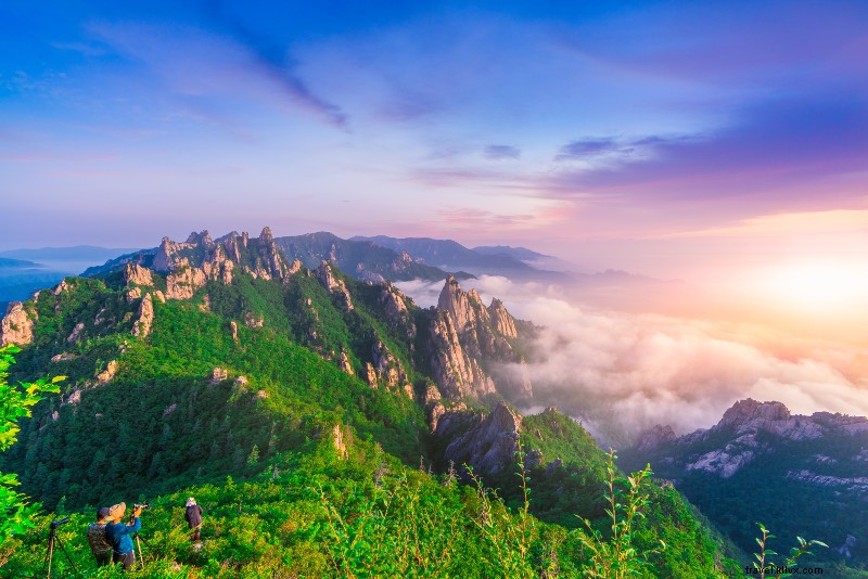 27 Best Day Trips from Seoul: Mountains, Beaches & Historic Gems