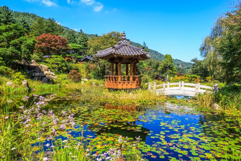 27 Best Day Trips from Seoul: Mountains, Beaches & Historic Gems
