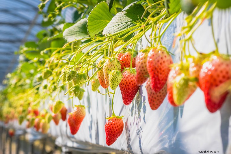 27 Best Day Trips from Seoul: Mountains, Beaches & Historic Gems