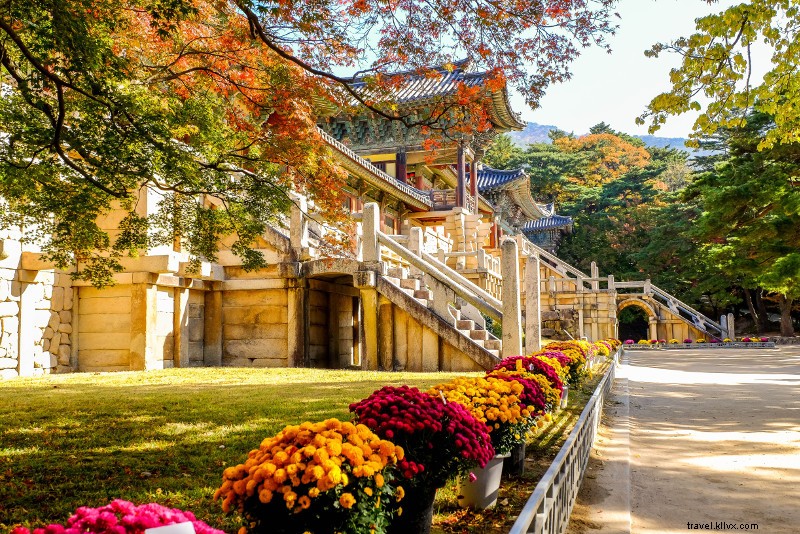 27 Best Day Trips from Seoul: Mountains, Beaches & Historic Gems