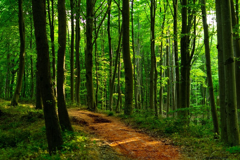 Top 20 Day Trips from Istanbul: Cappadocia, Ephesus, Pamukkale & Beyond