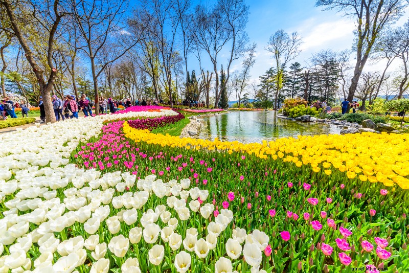 Top 20 Day Trips from Istanbul: Cappadocia, Ephesus, Pamukkale & Beyond