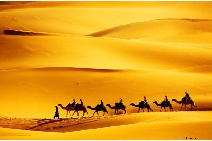 Top 15 Marrakech Desert Tours: Ultimate Sahara Adventures from Morocco