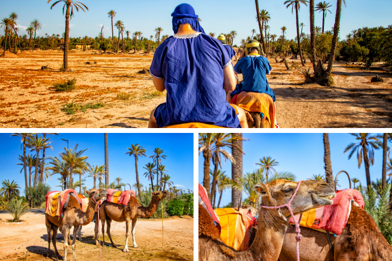 Top 15 Marrakech Desert Tours: Ultimate Sahara Adventures from Morocco