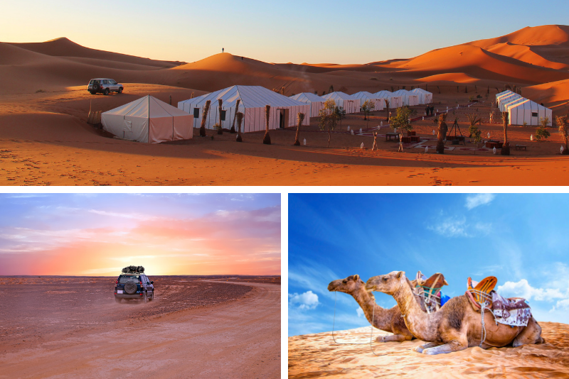 Top 15 Marrakech Desert Tours: Ultimate Sahara Adventures from Morocco