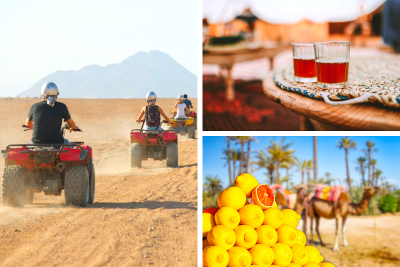 Top 15 Marrakech Desert Tours: Ultimate Sahara Adventures from Morocco