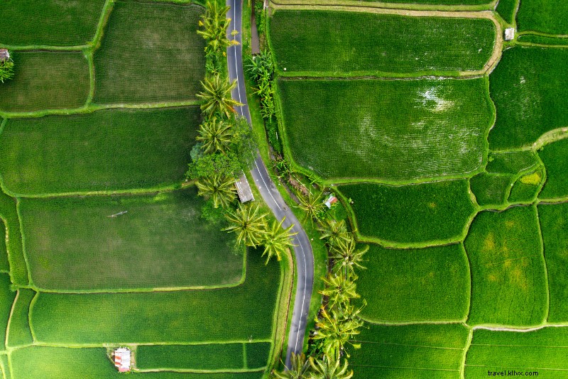 Top 25 Best Bali Tours: Unmissable Adventures for Every Traveler