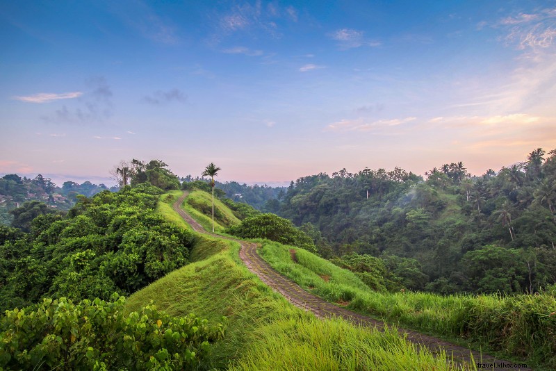 Top 25 Best Bali Tours: Unmissable Adventures for Every Traveler