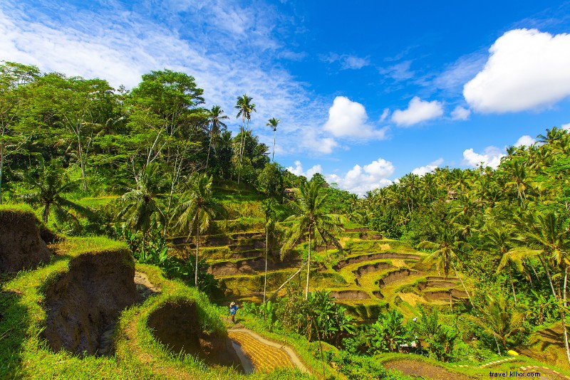 Top 25 Best Bali Tours: Unmissable Adventures for Every Traveler