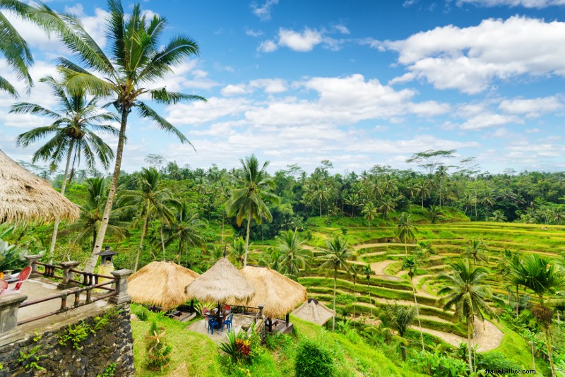 Top 25 Best Bali Tours: Unmissable Adventures for Every Traveler