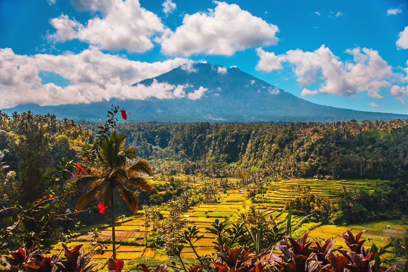 Top 25 Best Bali Tours: Unmissable Adventures for Every Traveler