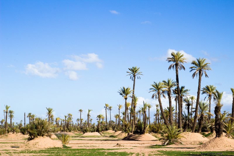 Top 21 Day Trips from Marrakech: Epic Adventures in Mountains, Deserts & Souks