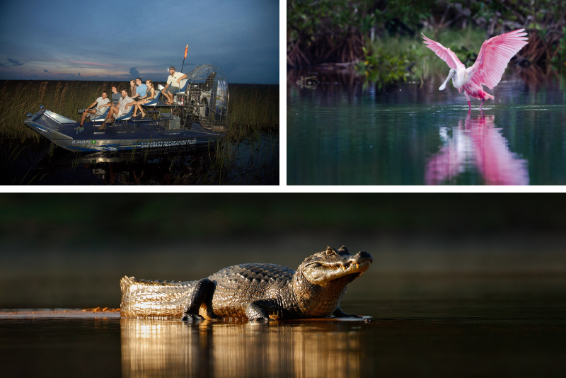 Top 20 Everglades Airboat Tours: Best from Miami, Orlando, Fort Lauderdale & Fort Myers